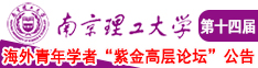 曰本成人网网站导航南京理工大学第十四届海外青年学者紫金论坛诚邀海内外英才！